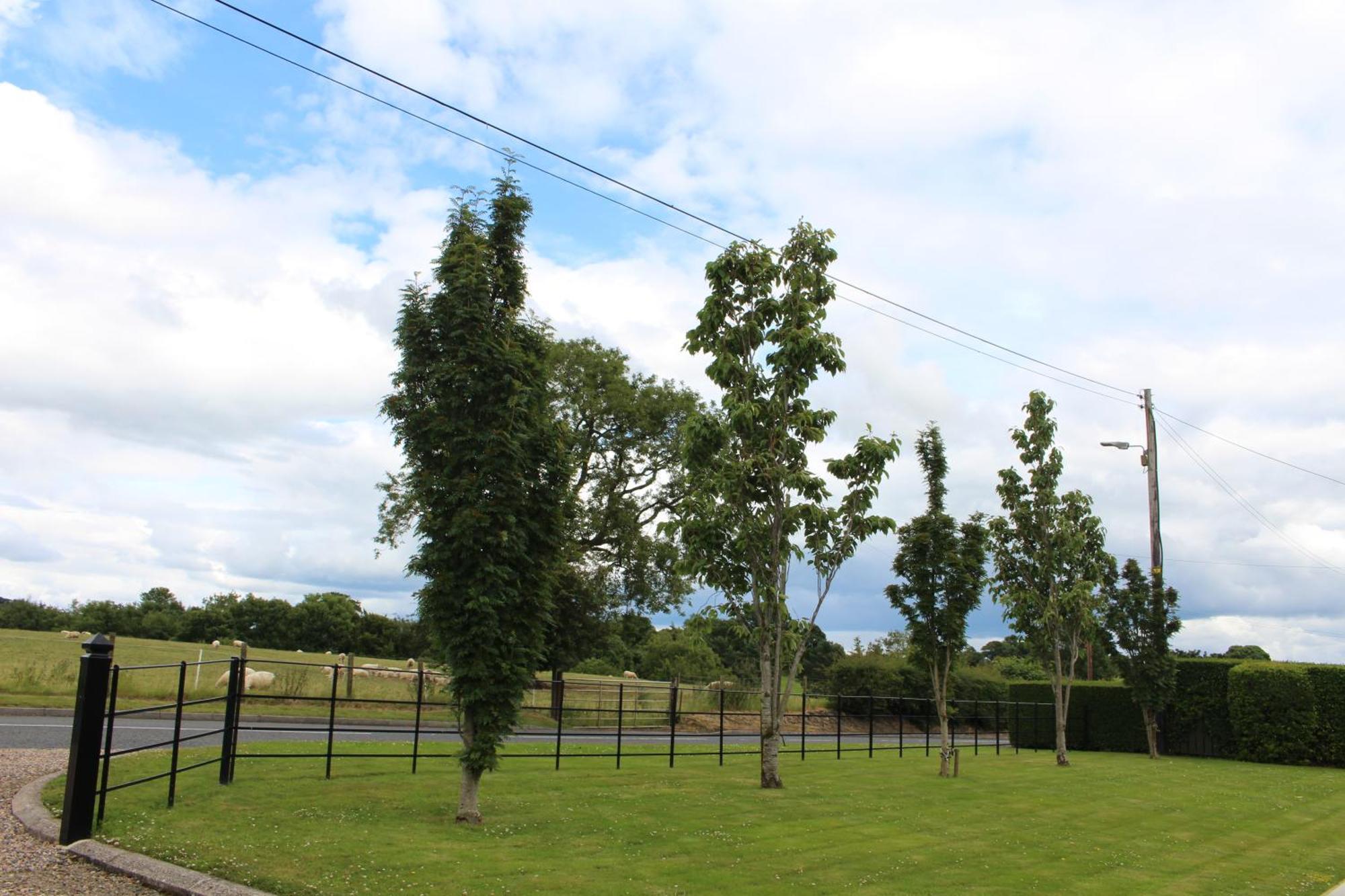 Contemporary Countryside Home Dromore  Exterior foto